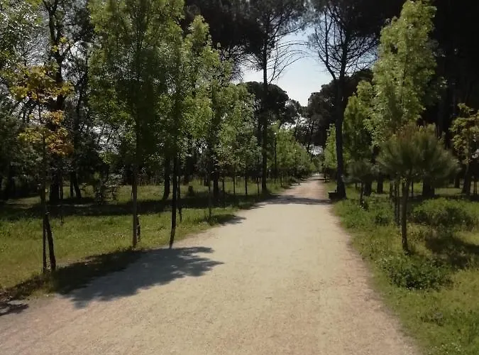 Casa A Cervia, Via Gargano 14 Lägenhet *